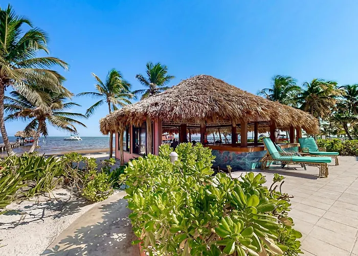 Zinnia @ Caribe Island