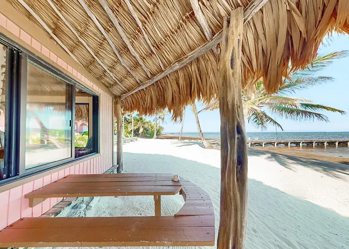 Mango 10 At Caribe Island Gold Standard Certified